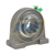 SSUCPA206-18 FD FSY