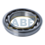 6013NR NSK