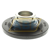 TFE60 INA