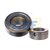 RAO12-NPP-FA106 INA