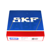21317E SKF