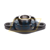 UCFL207-21 Felstrom